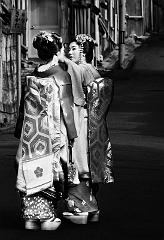 Maiko, Kyoto, Japan, 2011